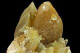 Amber-Yellow Calcite Crystal Cluster - Highly Fluorescent! #177293-2
